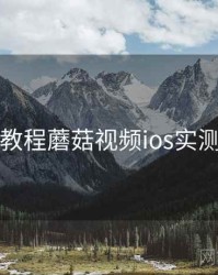 官方教程蘑菇视频ios实测结果