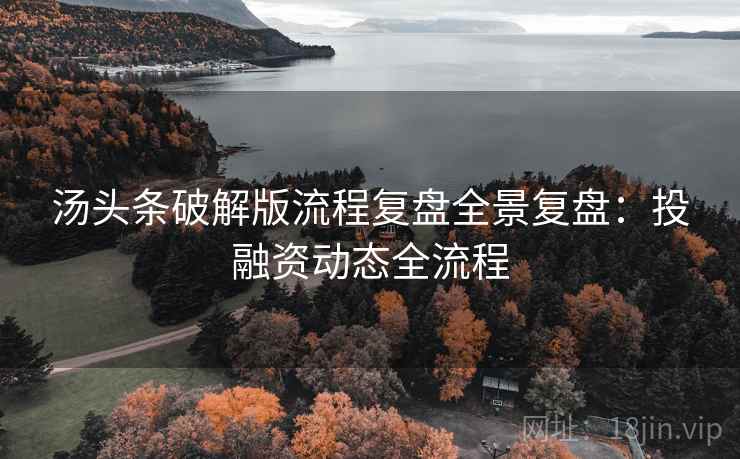 汤头条破解版流程复盘全景复盘：投融资动态全流程