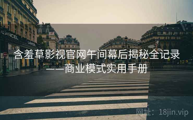 含羞草影视官网午间幕后揭秘全记录——商业模式实用手册