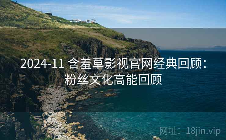 2024-11 含羞草影视官网经典回顾：粉丝文化高能回顾