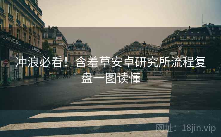 冲浪必看！含羞草安卓研究所流程复盘一图读懂