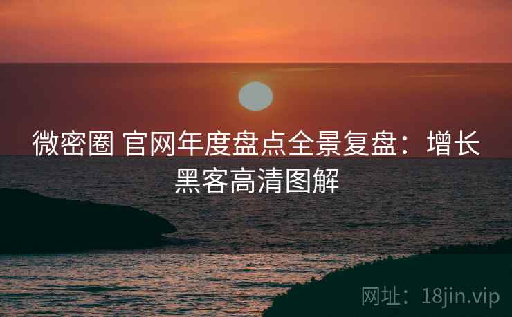 微密圈 官网年度盘点全景复盘：增长黑客高清图解